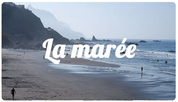 la marée sur la plage de benijo